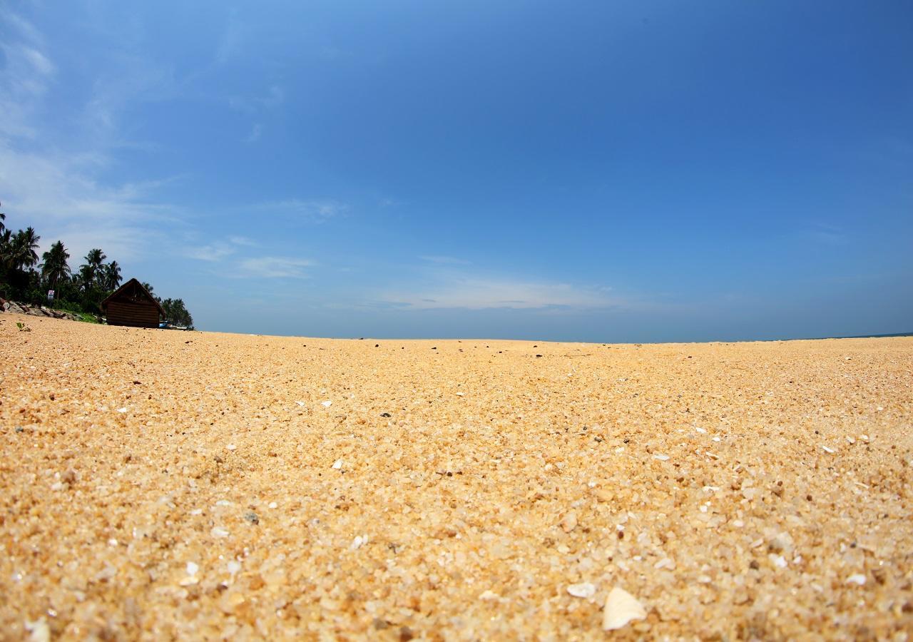 White Rose Beach Resort Marawila Zewnętrze zdjęcie